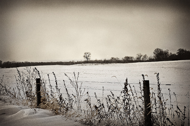 photo "***" tags: landscape, winter