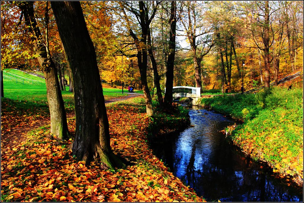 photo "***" tags: landscape, autumn, water