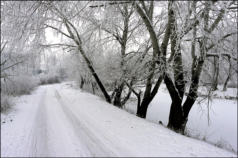 photo "Entering the village" tags: landscape, black&white, road, snow, trees, winter