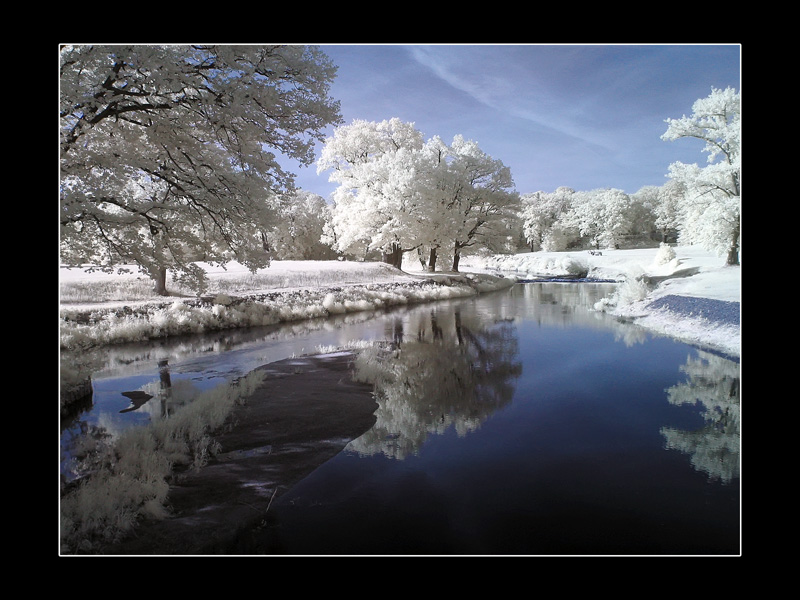 photo "white summer" tags: landscape, forest, water