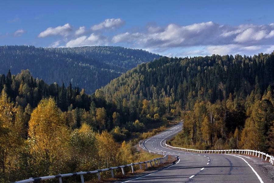 фото "чем дальше в лес..." метки: пейзаж, осень