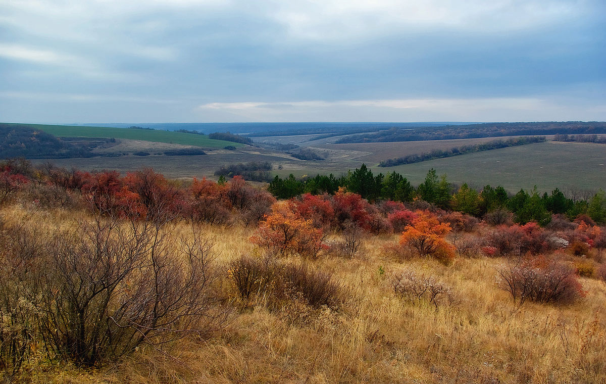 photo "***" tags: landscape, autumn