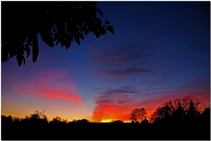 фото "Backyard Sunset" метки: , 