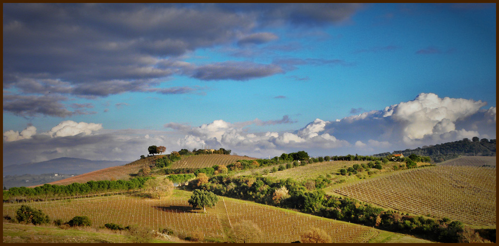 photo "Toscana" tags: landscape, autumn