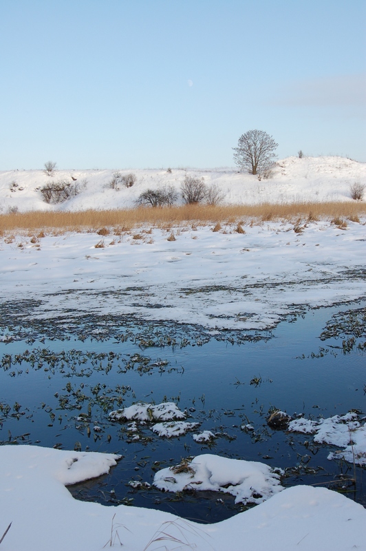 photo "***" tags: landscape, winter