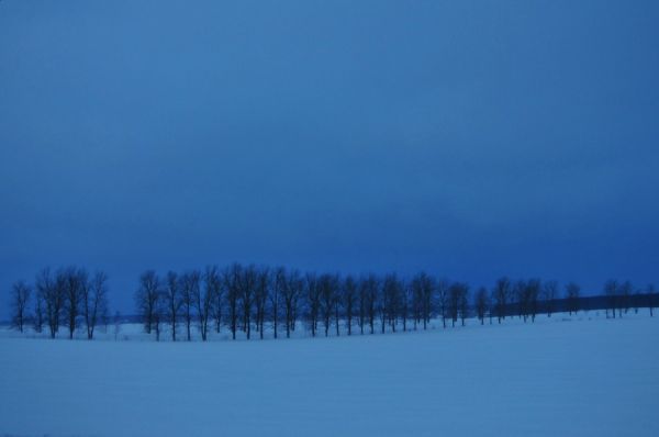 фото "Зимний вечер" метки: пейзаж, зима