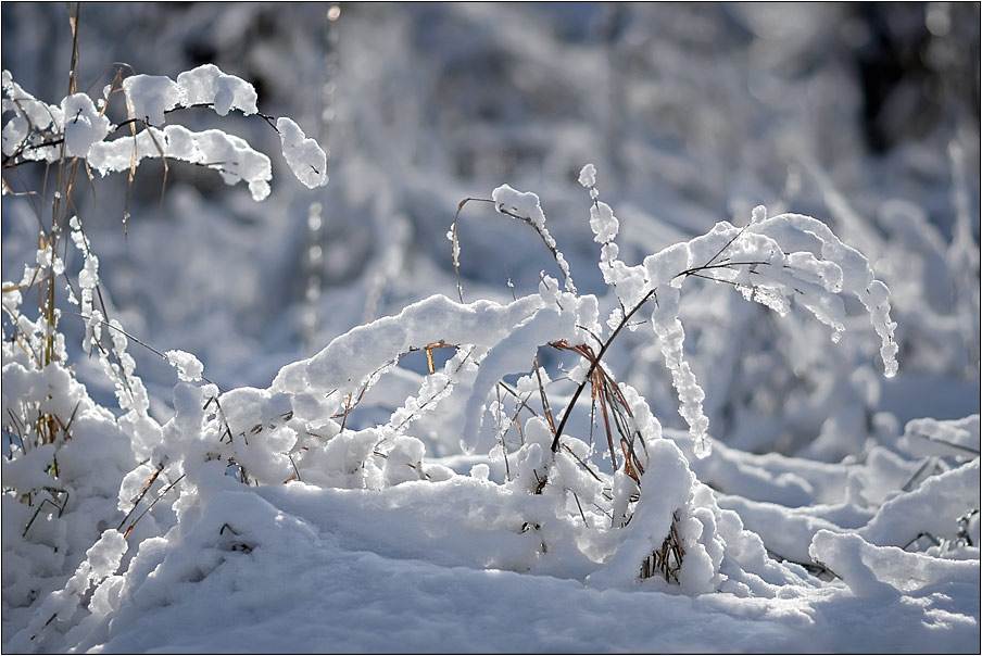 photo "***" tags: landscape, winter