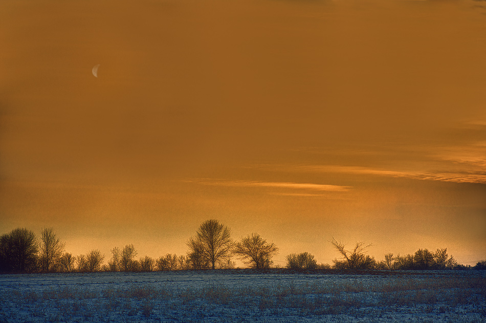 photo "Tree Silhouette" tags: landscape, winter
