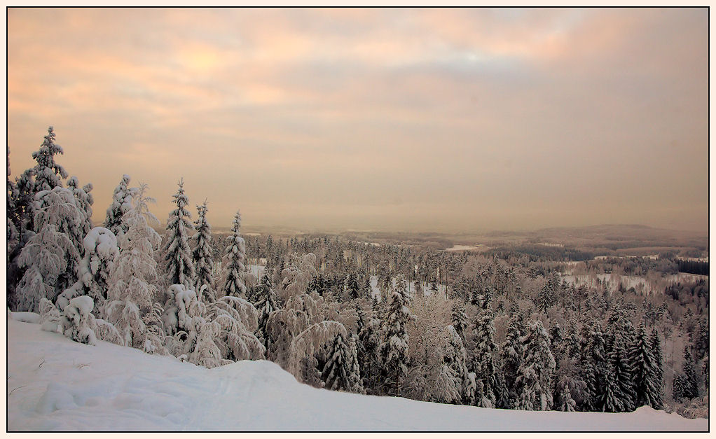 photo "***" tags: landscape, forest, mountains