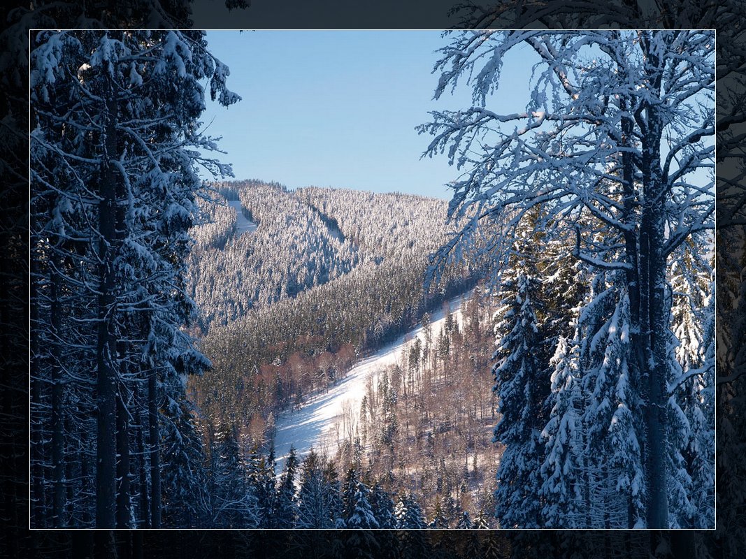 фото "Буковель 3" метки: пейзаж, горы, зима