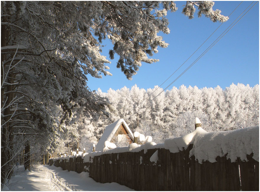 photo "***" tags: landscape, forest, winter