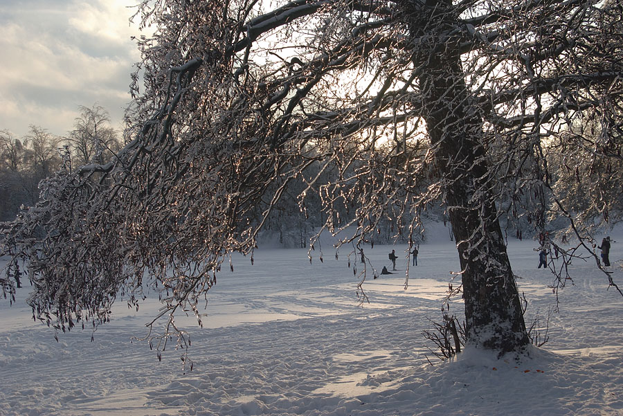 photo "***" tags: landscape, winter