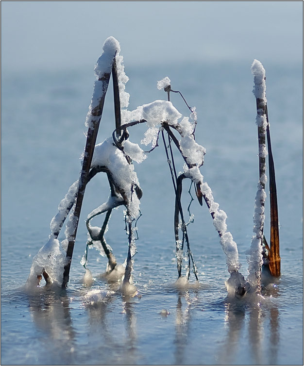 фото "Ни шанса вырваться из ледяного плена" метки: пейзаж, зима