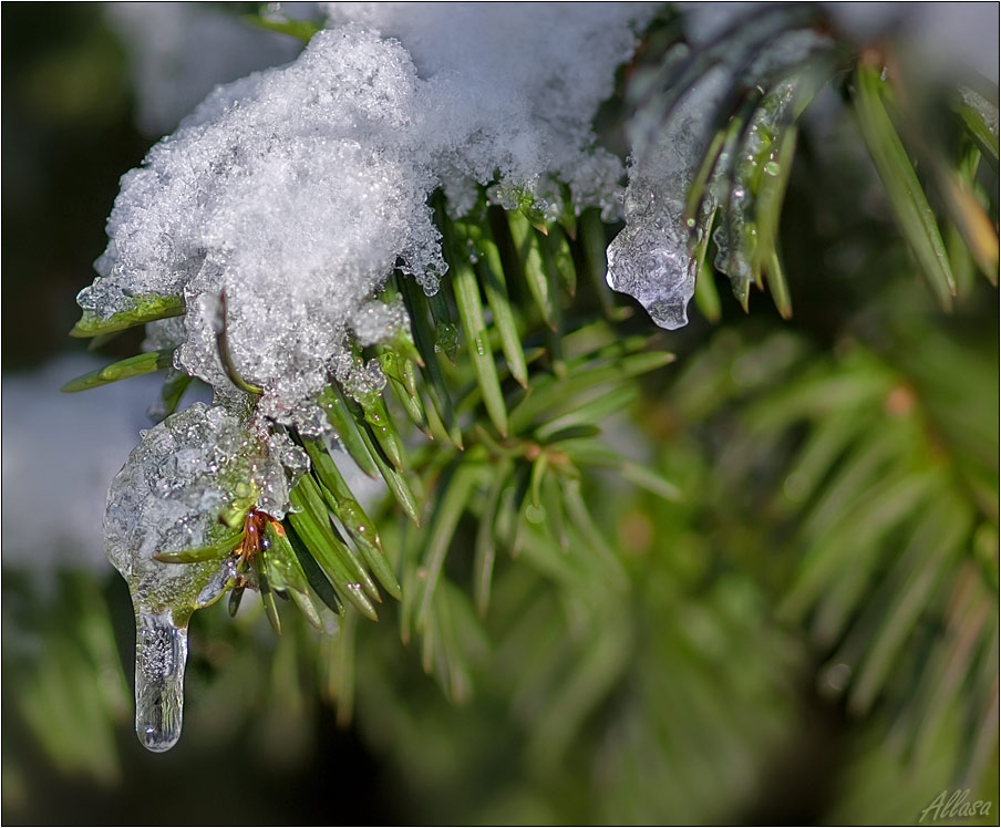 photo "***" tags: landscape, winter