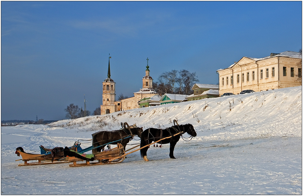 photo "Pending equestrians" tags: landscape, nature, pets/farm animals, winter