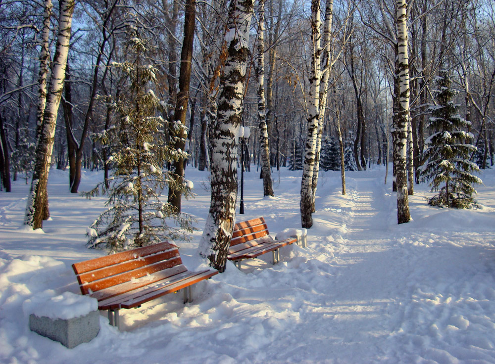 photo "... sit down ...?" tags: landscape, winter