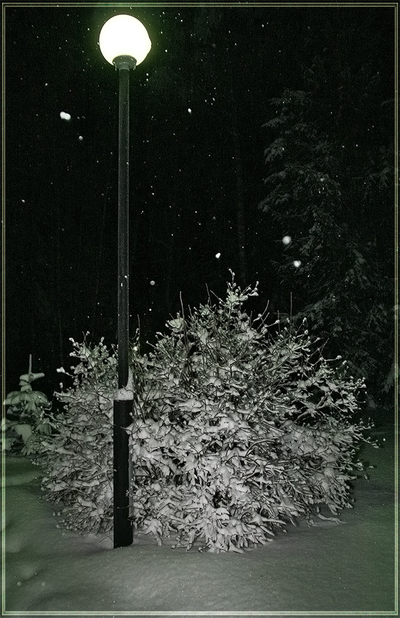 photo "Before New Year" tags: landscape, night, winter