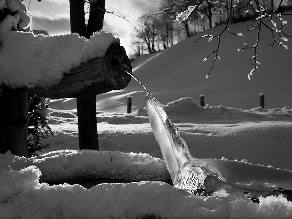 photo "***" tags: landscape, black&white, winter