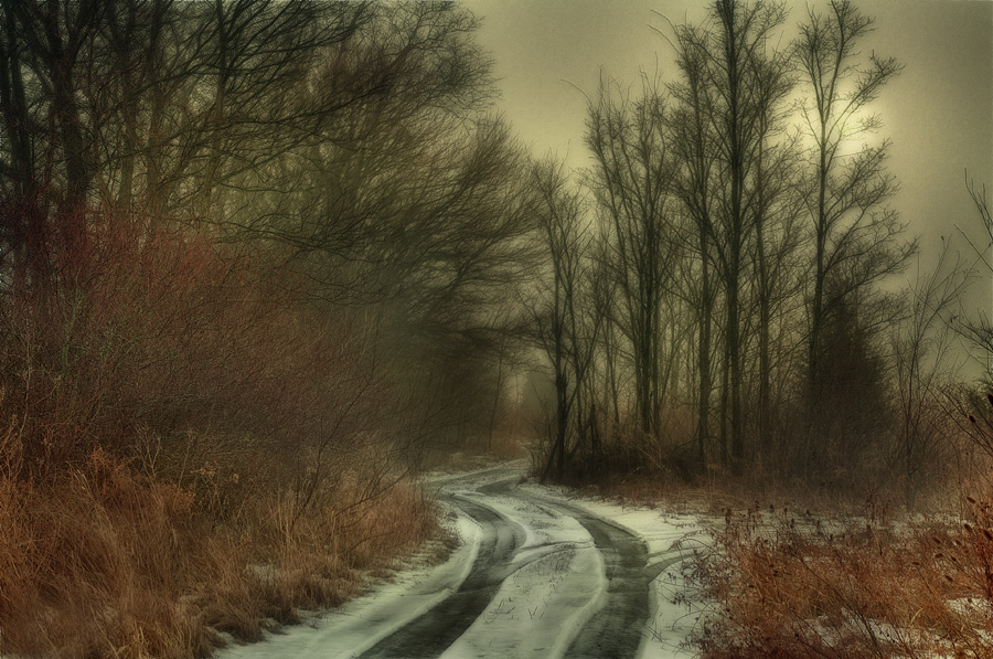 photo "Lane in the Woods" tags: landscape, winter