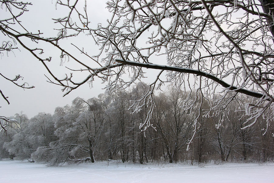 photo "***" tags: landscape, forest, winter