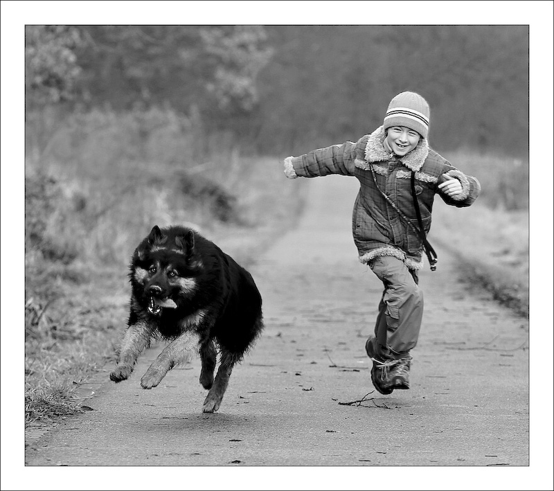 photo "***" tags: black&white, nature, pets/farm animals