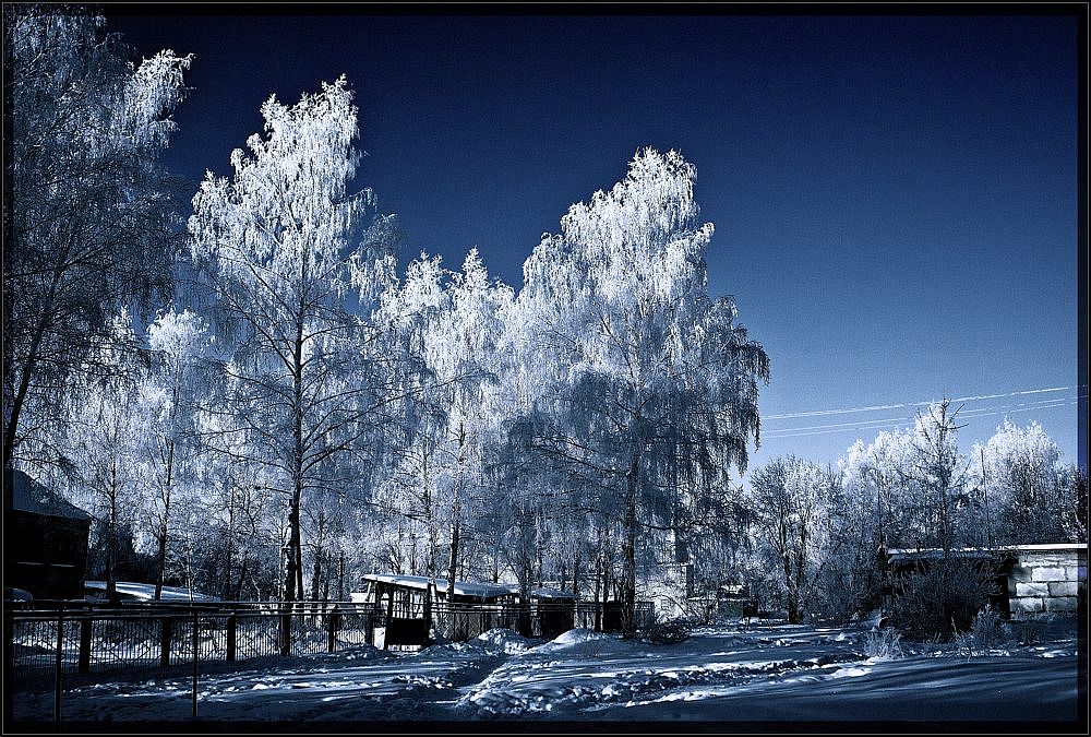фото "Иней" метки: пейзаж, зима