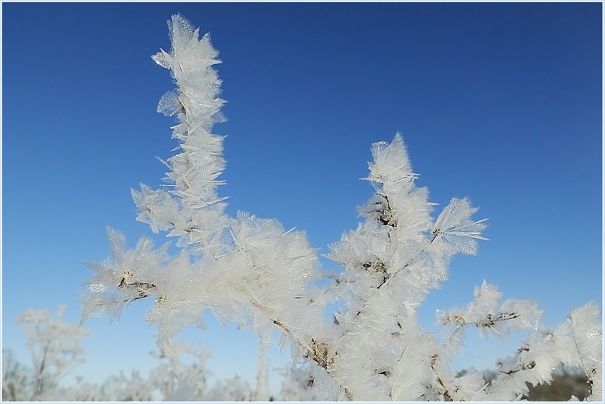 photo "***" tags: landscape, macro and close-up, winter