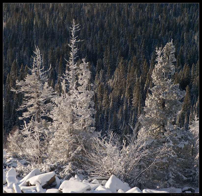 photo "On the Slope / 0205_0027" tags: landscape, mountains, winter