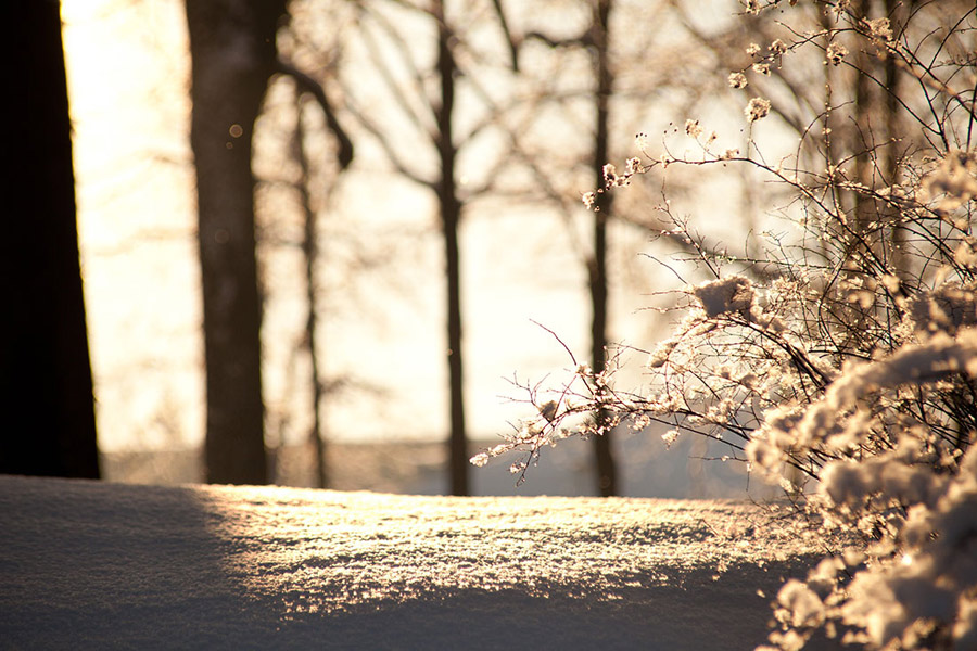 photo "Light and shade. January." tags: landscape, winter