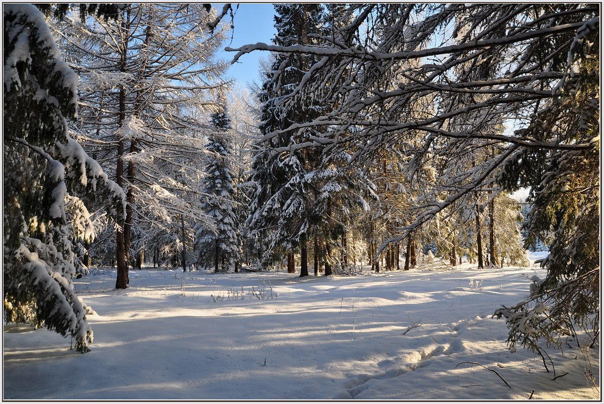 photo "***" tags: landscape, winter