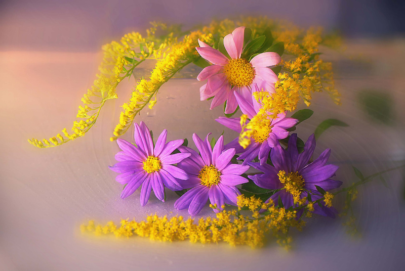 photo "***" tags: nature, flowers