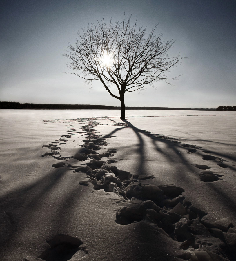фото "...cold sun..." метки: пейзаж, зима