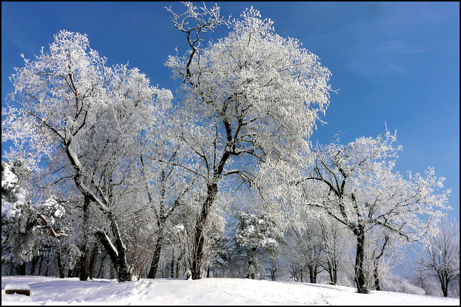 photo "Winter story" tags: landscape, nature, snow, trees, winter