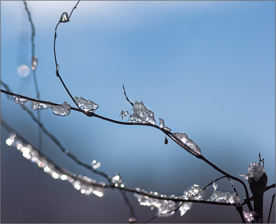 фото "Хрустальная нежность зимы" метки: пейзаж, фрагмент, зима