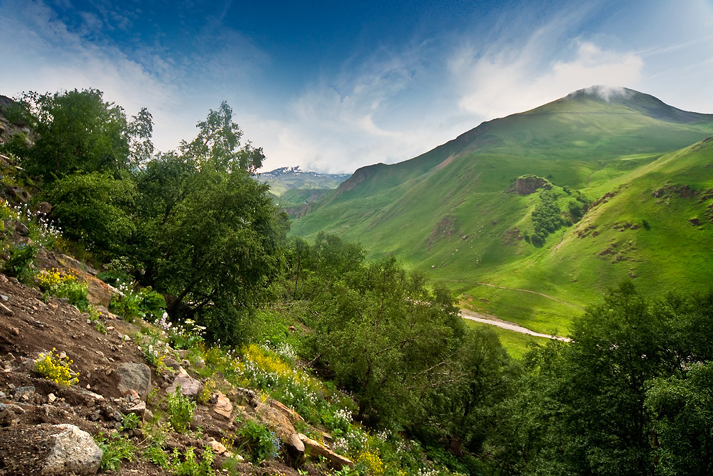 photo "Up the mountainside" tags: landscape, mountains