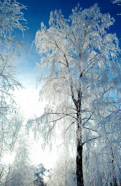 фото "***" метки: пейзаж, зима