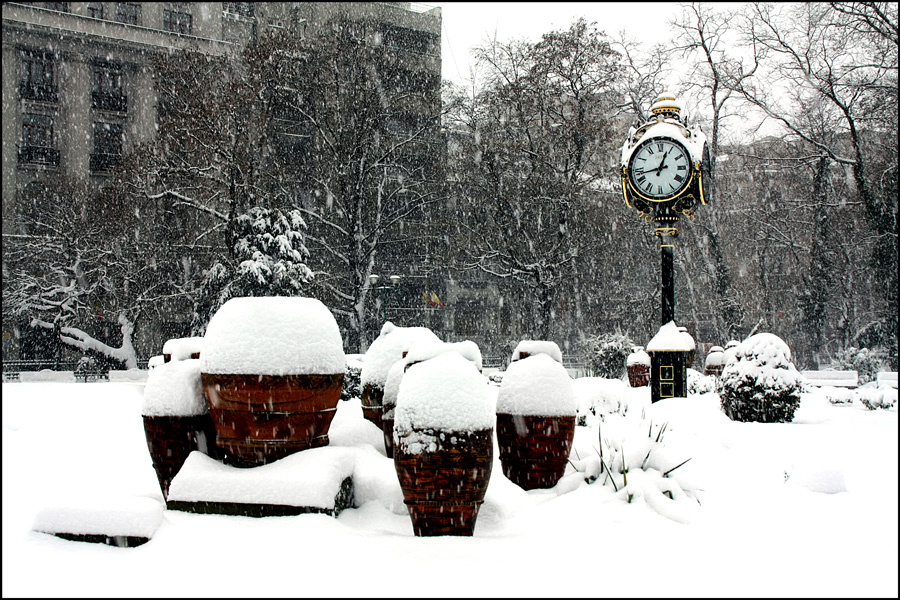 photo "Snow at noon / Снег в полдень" tags: landscape, city, black&white, Bucharest, parks, snow, winter