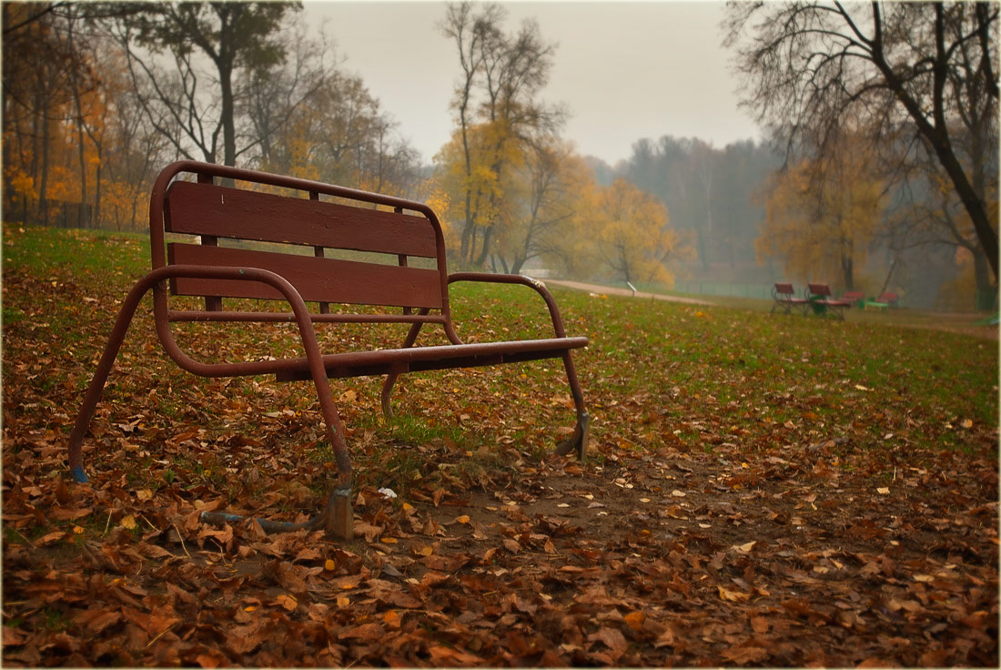 photo "***" tags: landscape, autumn