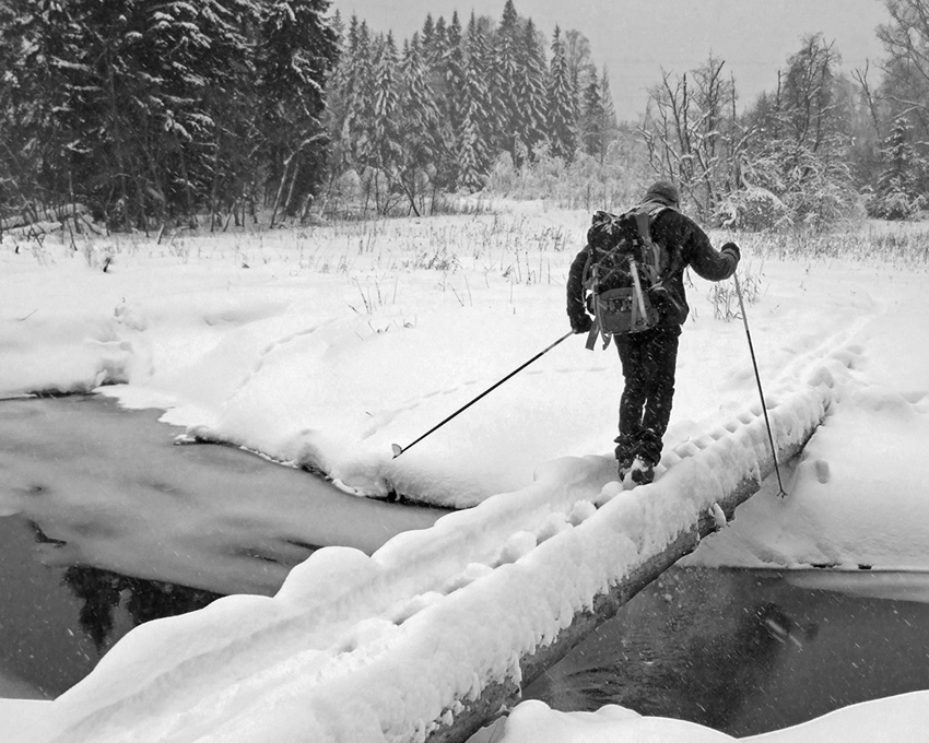 photo "Bad weather" tags: landscape, black&white, winter