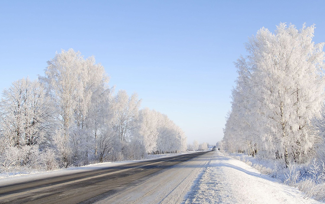 фото "У  дороги" метки: пейзаж, зима