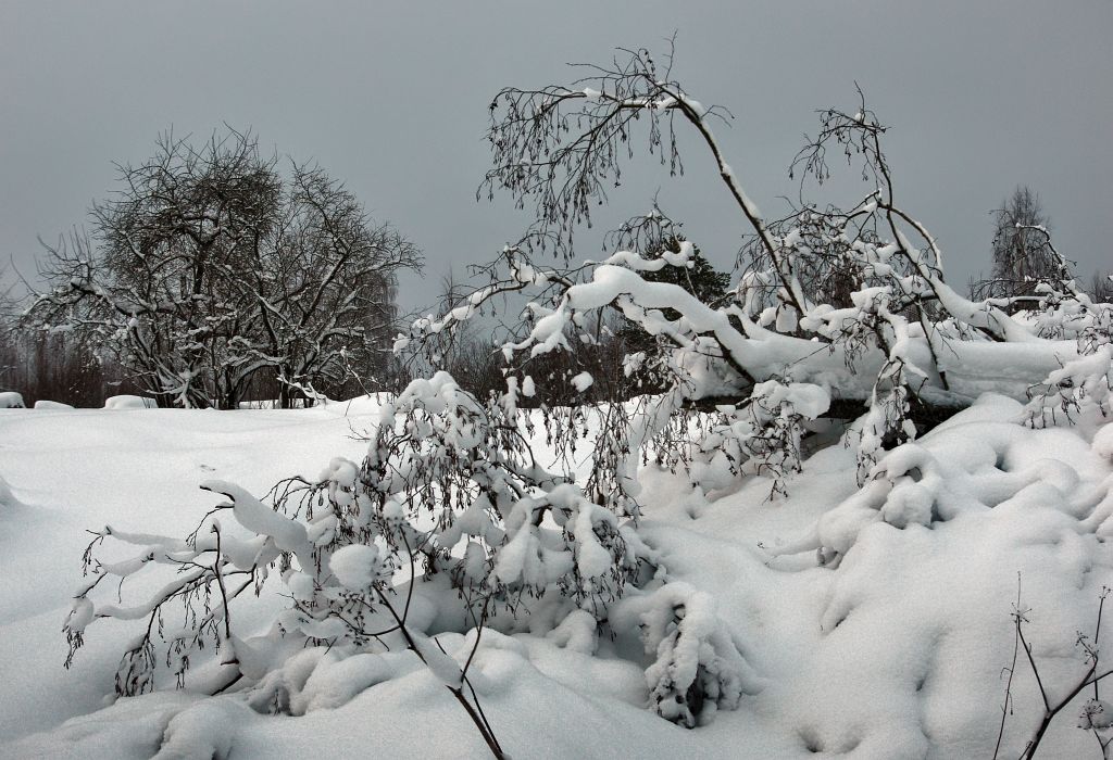 photo "The Winter Beauty" tags: landscape, winter