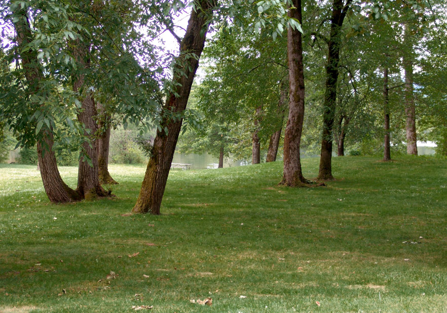 photo "***" tags: landscape, 