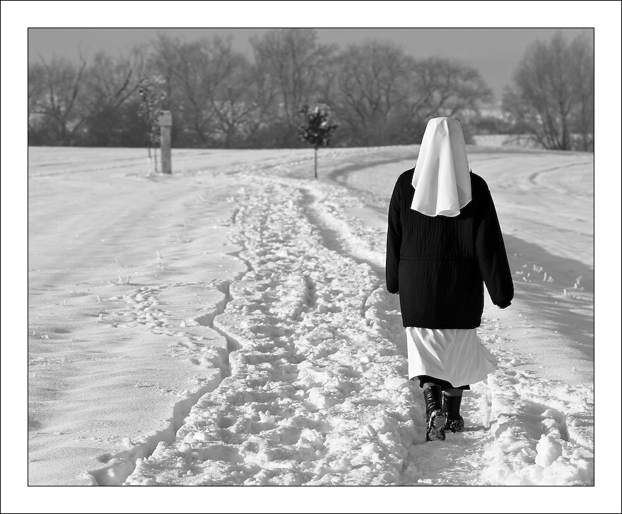 photo "My way" tags: black&white, 