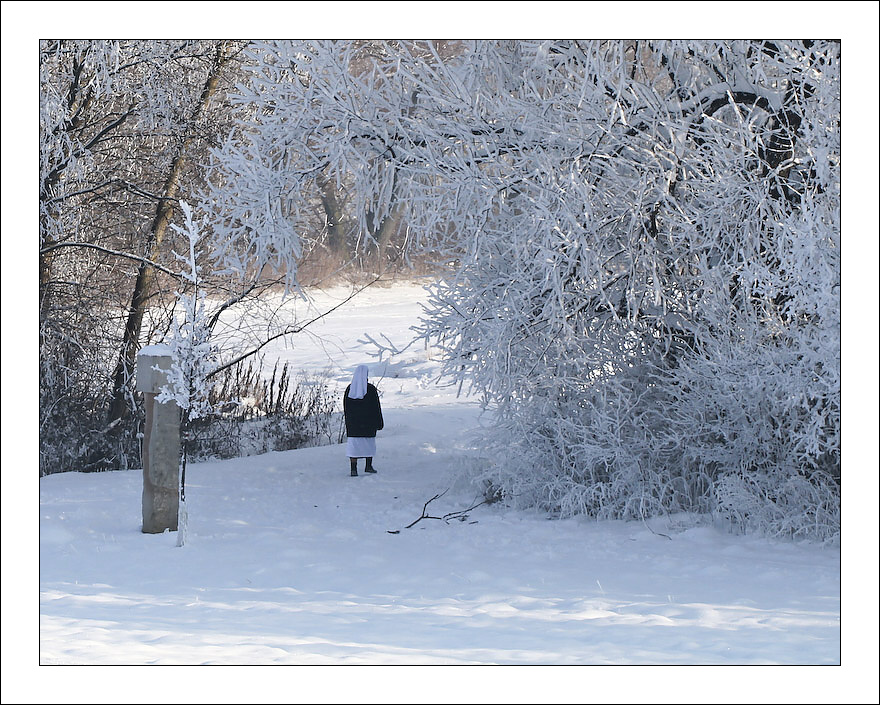 photo "Gate" tags: landscape, winter