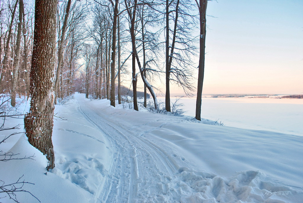 photo "***" tags: landscape, forest, winter