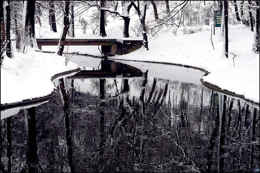 photo "Lines and curves" tags: landscape, Bucharest, lake, parks, reflections, snow, trees, water, winter