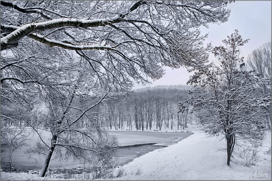 фото "Зима...ну что тут скажешь..." метки: пейзаж, зима