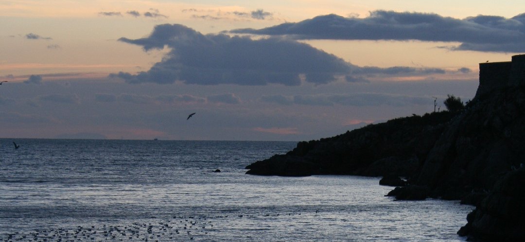photo "evening" tags: landscape, water