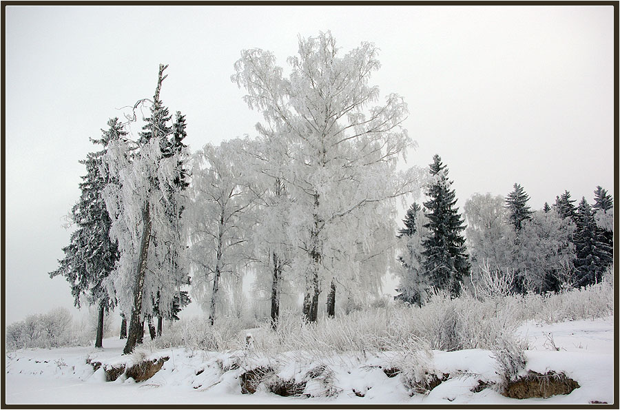 photo "***" tags: landscape, forest, winter