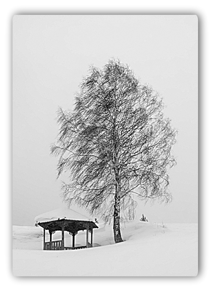 фото "до весны..." метки: пейзаж, зима